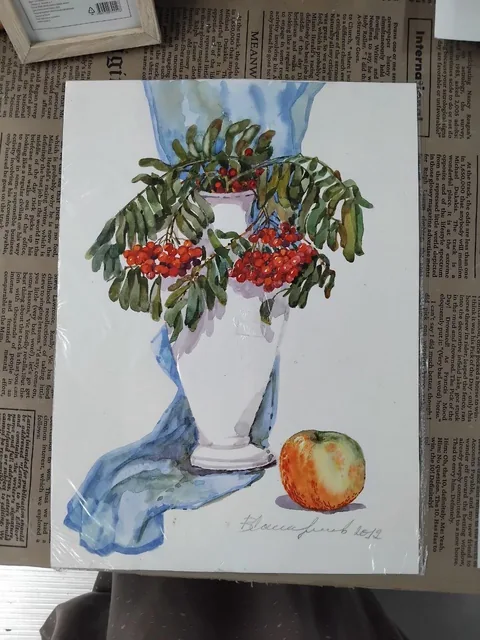 «Рябина и яблоко» — Саможенов В. Ф., акварель, бумага, 40×30 см
