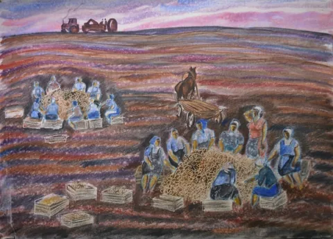 «В поле» — Саможенов В. Ф., акварель, бумага, 1982 г., 75×54 см