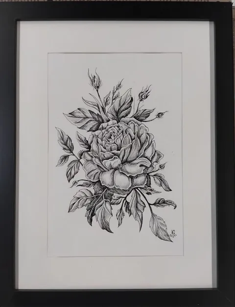 «Роза» — графика: бумага, тушь · 40×30, Екатерина Гунькина