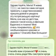 Скриншот переписки: отзыв заказчицы о картине на заказ