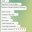 Скриншот переписки с заказчицей о портрете